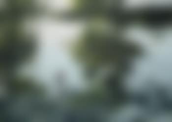 Bärensee 1 (preview)