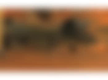 [Untitled] (preview)