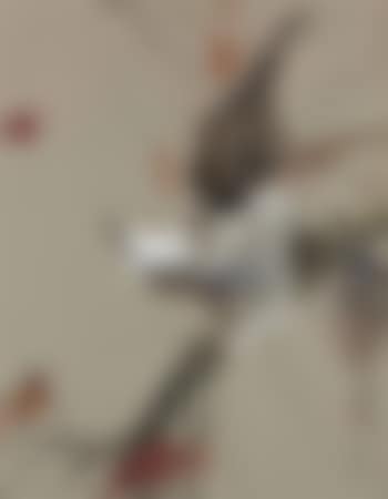Eagle (preview)