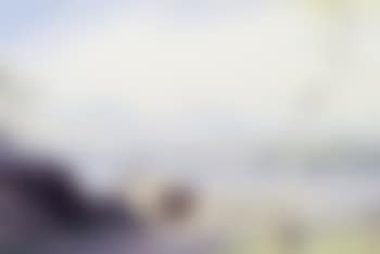 The Rocky Shores of Coniston (preview)