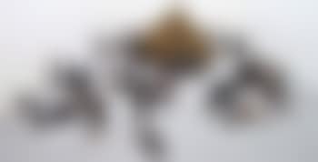 Hopefully, I Will Live Through This With a Little Bit Of Dignity (preview)