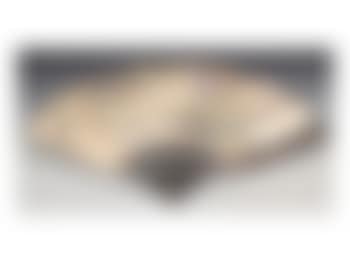 Ancient people (preview)