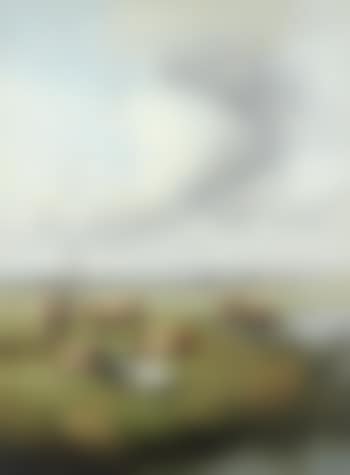 Cattle in a pasture (preview)