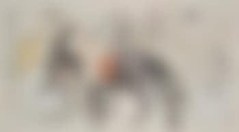 Uyghur people on horseback (preview)