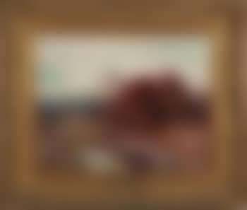 Red oaks (preview)