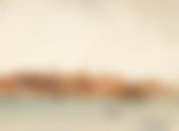 Perros (preview)
