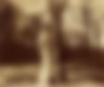 Versailles le parc (preview)