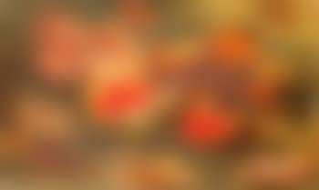 Still life with watermelon (preview)