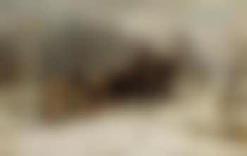 Schlittenfahrt (preview)