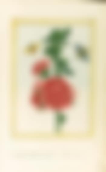 Project 99 (preview)