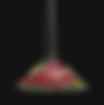 A Floral Bouquet chandelier (preview)
