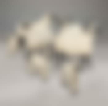 Nouveaux Moutons, a flock of sheep (preview)