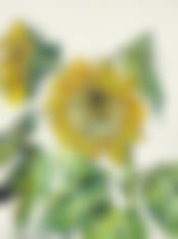 Sunflowers (preview)