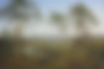 Ben Lomond from Mr Talbot's property -- four Men catching Opossums (preview)