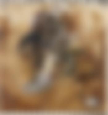 UMER 1 MARQUIS-C-C (preview)