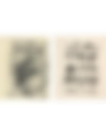 Two Untitled Works (preview)