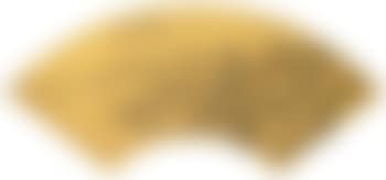 Collection Of Fan Leaves (preview)