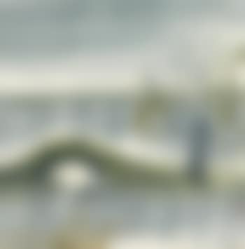 Spring Willow On The River (preview)