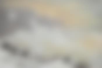 Hunted birds in a landscape (preview)