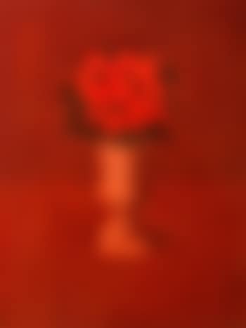 Fiori in vaso (preview)