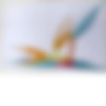 Bird of Paradise (preview)