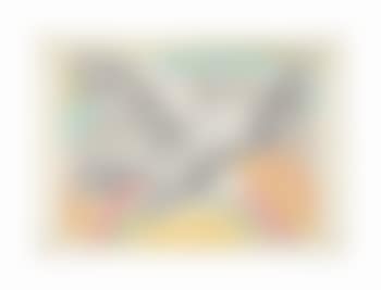 Colombe volant (Bloch 712; Mourlot 214) (preview)