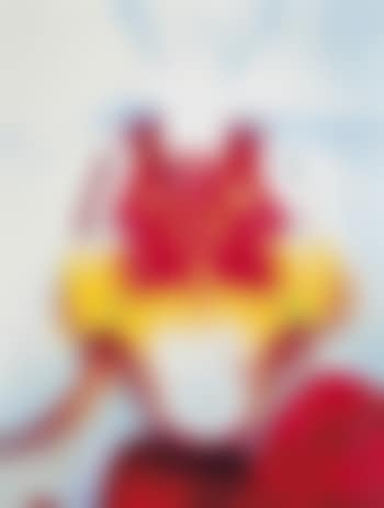 Plate Three, from: Portraits of Landscapes (preview)