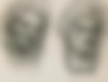 Untitled (Antique Heads) (preview)