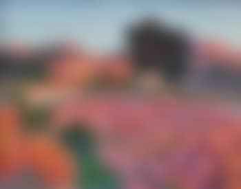 The farm, Provence (preview)