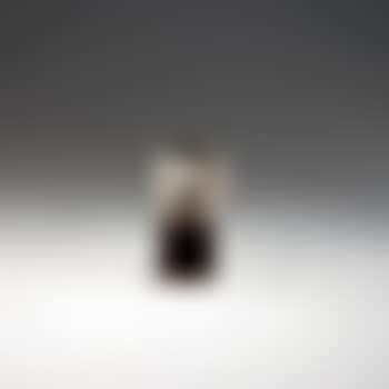 Maske (preview)
