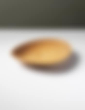 Leaf dish (preview)