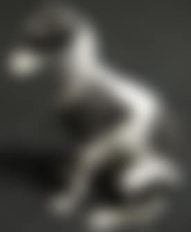 Seated greyhound (preview)