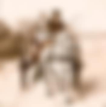 Carruaje de caballos (preview)