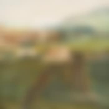 Paisaje oleo sobre tela (preview)