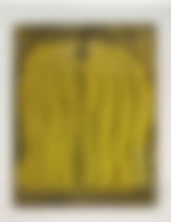 Pumpkin - Yellow (preview)