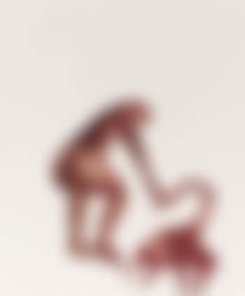 Leda and Swan (preview)