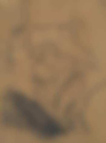 A study of a woman in bed (preview)