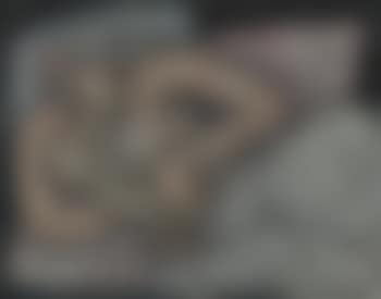 Untitled (preview)