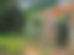 Fra vor Gamle Have. Our former garden (preview)