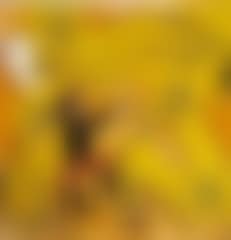 Animal trainer and circus lions (preview)