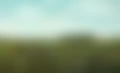 View from a garden towards the surrounding fields (preview)