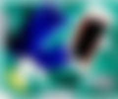 Composition (preview)