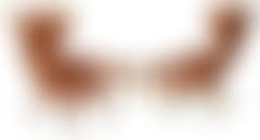 [Untitled] (preview)