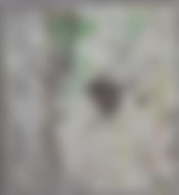 Ready made (preview)