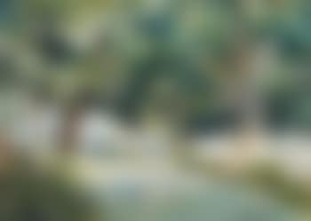 House In The Shade (preview)