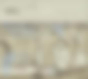 Cormorants (preview)