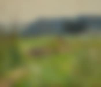 Sommerlandschaft Bei Montabaur (preview)