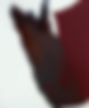Phenomena Red Watch (preview)