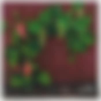 Casa danese (preview)