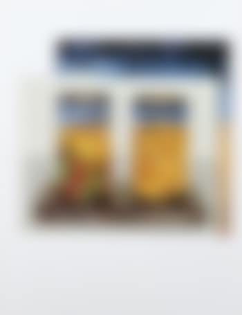 2 lattine con dentro Van Gogh (preview)